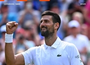 开云体育-戴维斯杯完胜法网，德约科维奇刷新纪录的简单介绍