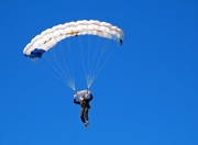 开云体育直播-黄蜂蛰伏终觉醒，提前终结悬念让步行者黯然失色