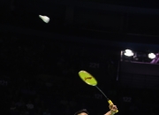 开云体育平台APP-包含丹麦羽毛球队强势中国羽毛球队，谌龙爆发神勇的词条