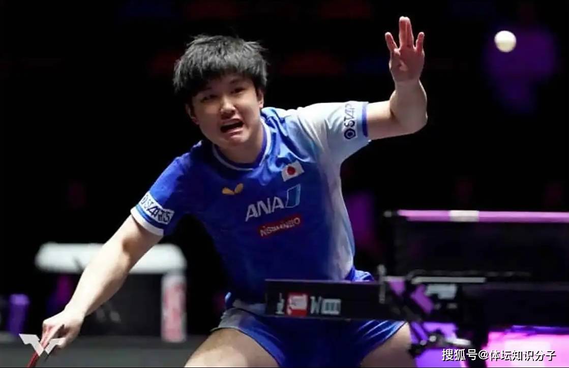 日本乒乓球队翻盘中国乒乓球队,张本智和爆发神勇的简单介绍 日本乒乓球队翻盘中国乒乓球队,张本智和爆发神勇的简单介绍