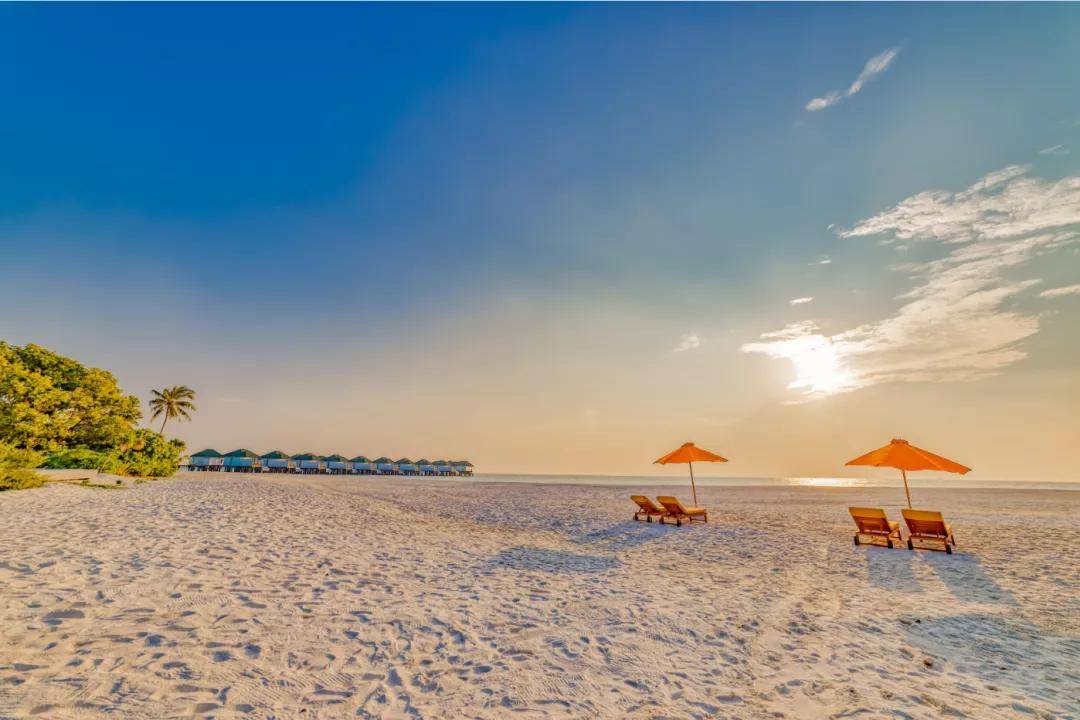 关于马尔代夫选手勇夺冠军，激情奔放的信息